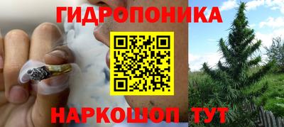 СК Партизанск