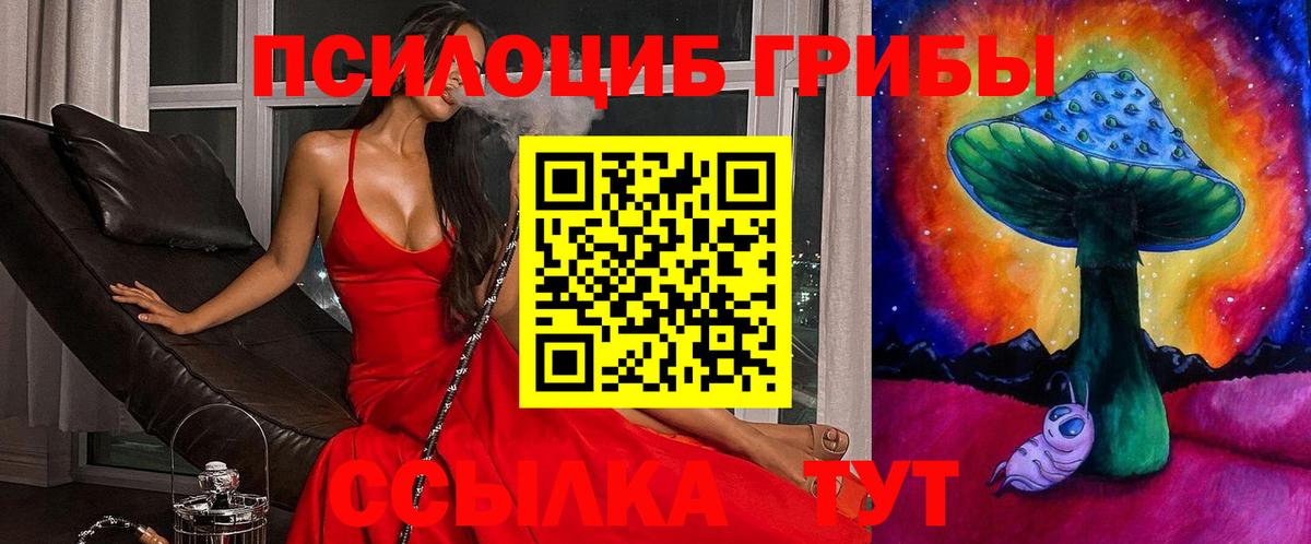 Галлюциногенные грибы Psilocybine cubensis Сорочинск